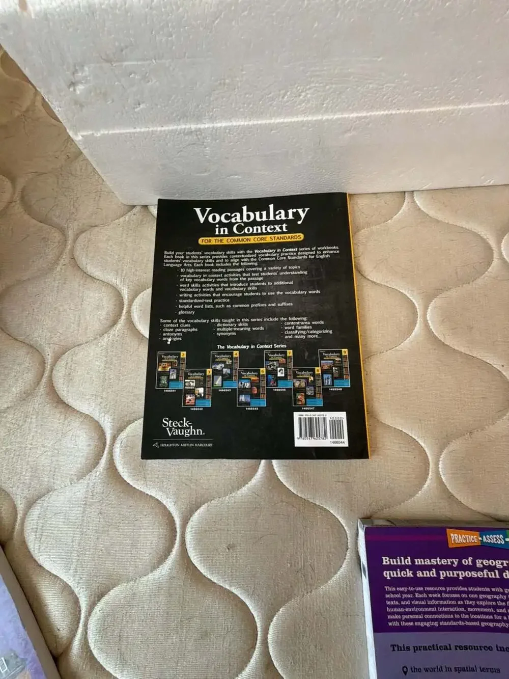 Lot of 3 5th GR Educational Workbooks: Social Studies, Vocabulary, Geography